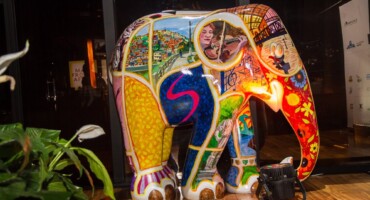 Elephant Parade Sao Paulo 2017. Photo: Fotograferia Light.