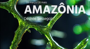 Exposição Amazônia da designer Désirée Sessegolo, flyer - destaque. Divulgação.