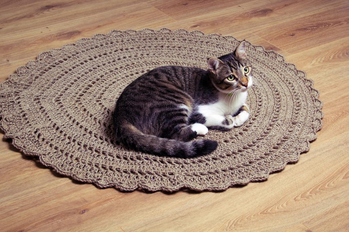 How to Crochet: Complete Guide for Beginners. Photo: br.depositphotos.com.